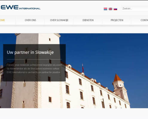EWE International website screenshot